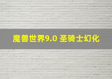 魔兽世界9.0 圣骑士幻化